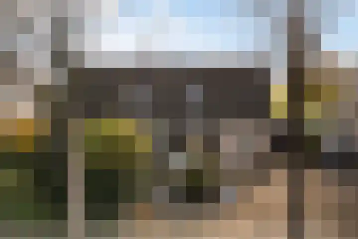 Canterstins 26 Stiens thumbnail 32