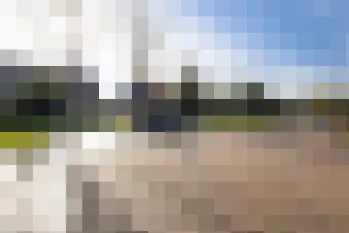 Canterstins 26 Stiens thumbnail 33