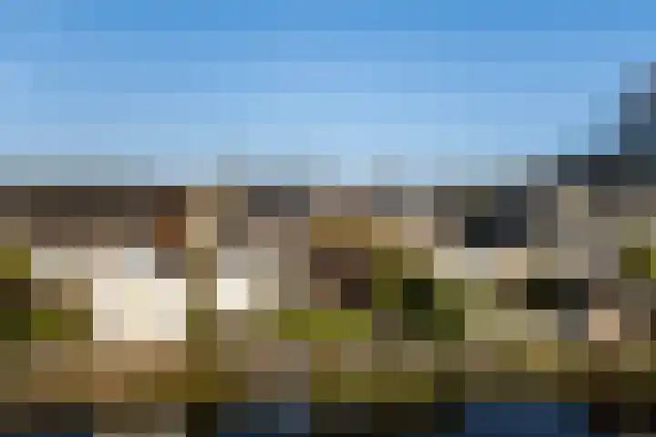 Canterstins 26 Stiens thumbnail 34