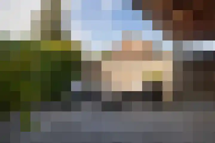 Canterstins 29 Stiens thumbnail 29