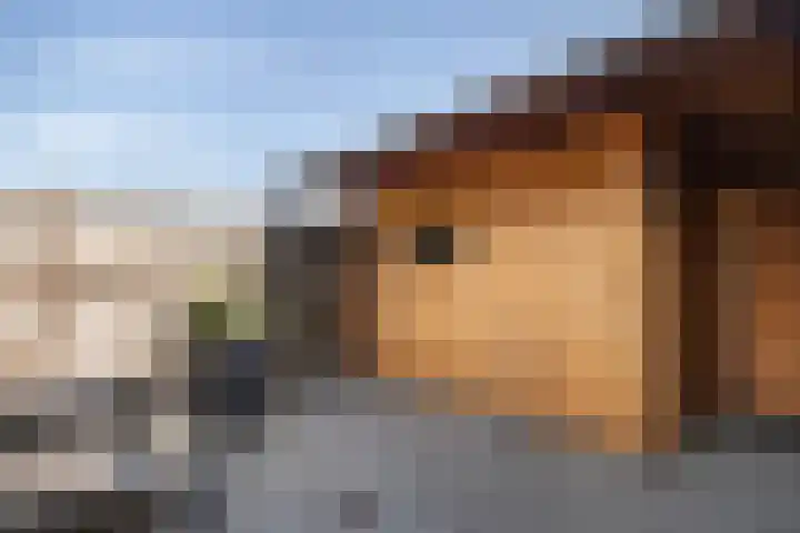 Canterstins 29 Stiens thumbnail 30