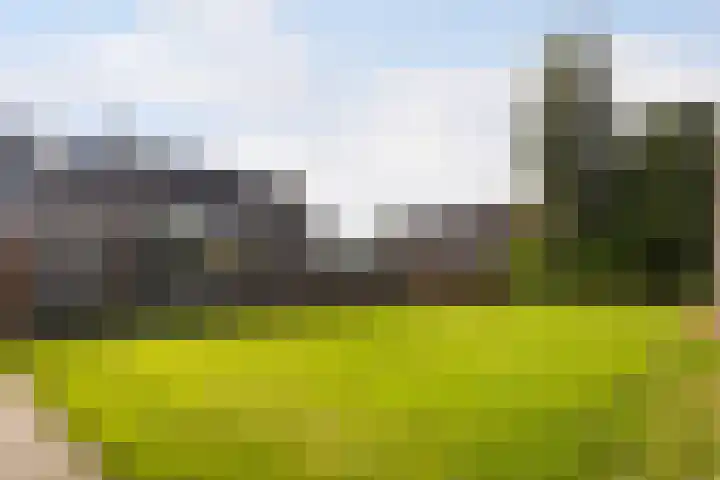 Canterstins 29 Stiens thumbnail 34