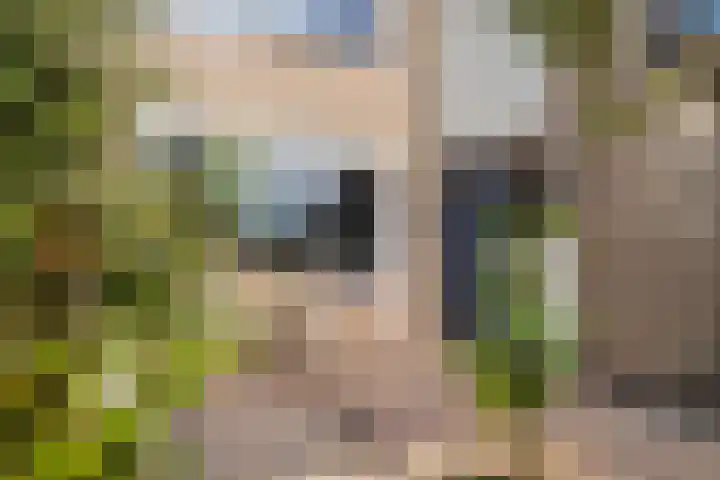 Canterstins 29 Stiens thumbnail 36