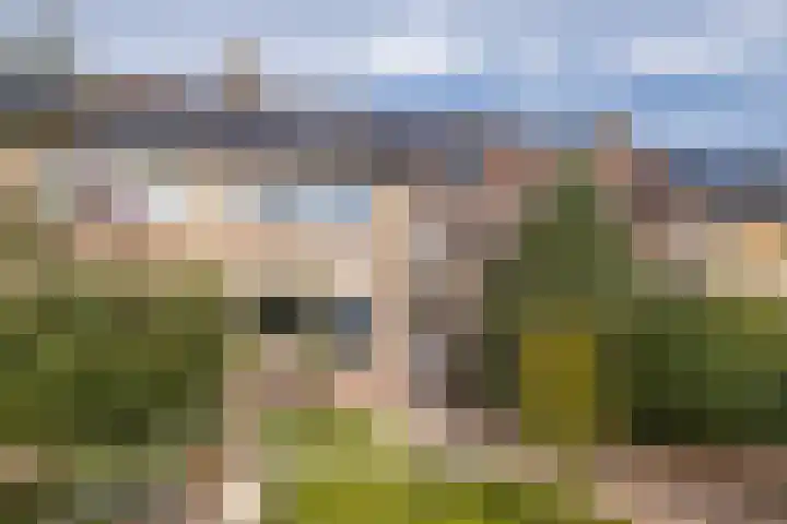 Canterstins 29 Stiens thumbnail 39