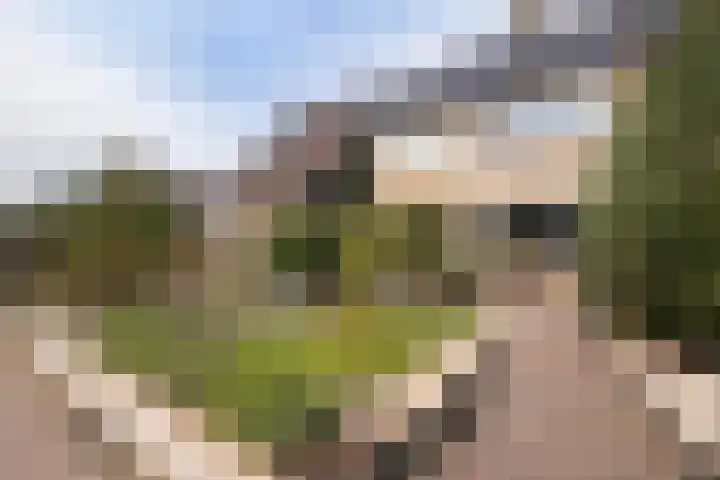 Canterstins 29 Stiens thumbnail 40