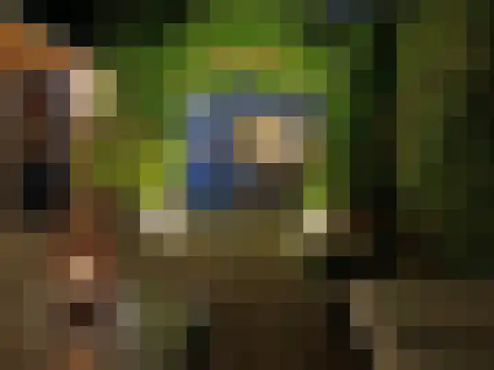 Canterstins 29 Stiens thumbnail 41