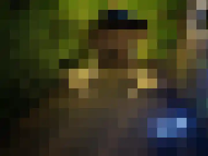 Canterstins 29 Stiens thumbnail 42