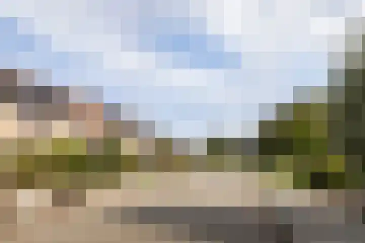 Canterstins 29 Stiens thumbnail 44