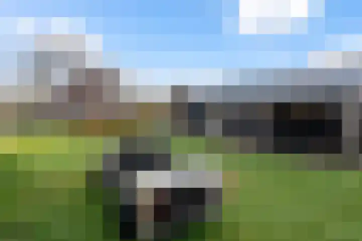 Canterstins 29 Stiens thumbnail 50