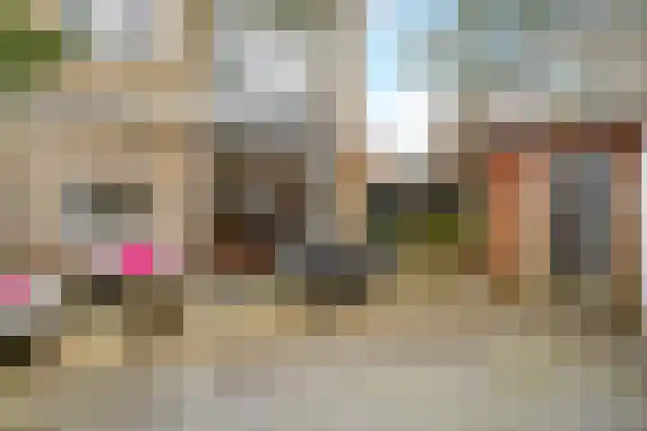 Cantharel 1 Amersfoort thumbnail 17