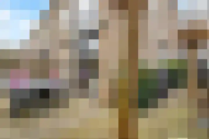 Cantharel 1 Amersfoort thumbnail 18