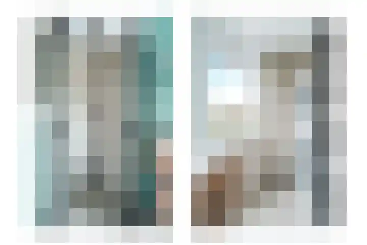 Cantharel 1 Amersfoort thumbnail 22