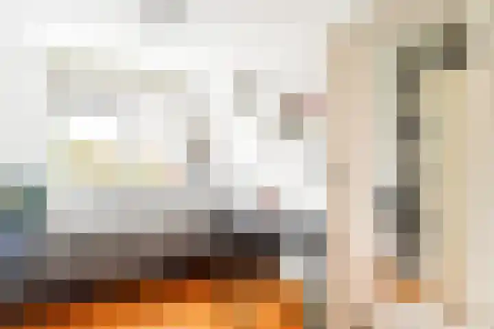 Cantharel 1 Amersfoort thumbnail 24