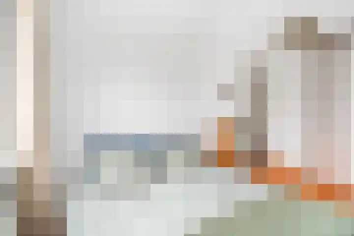Cantharel 1 Amersfoort thumbnail 27