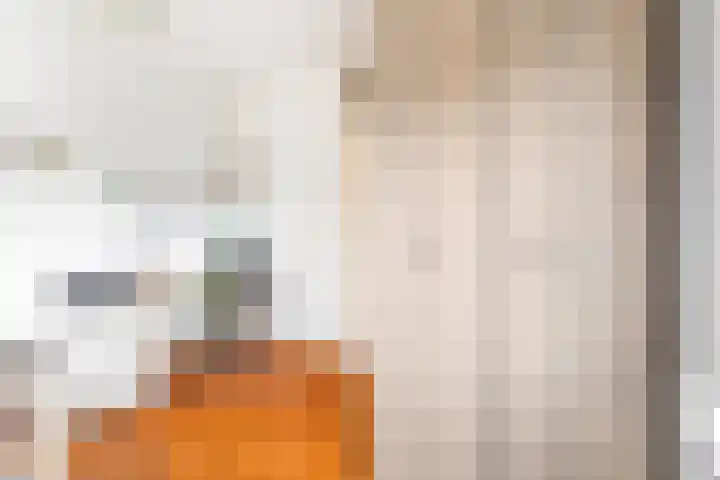 Cantharel 1 Amersfoort thumbnail 29