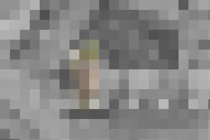Cantharel 1 Amersfoort thumbnail 32