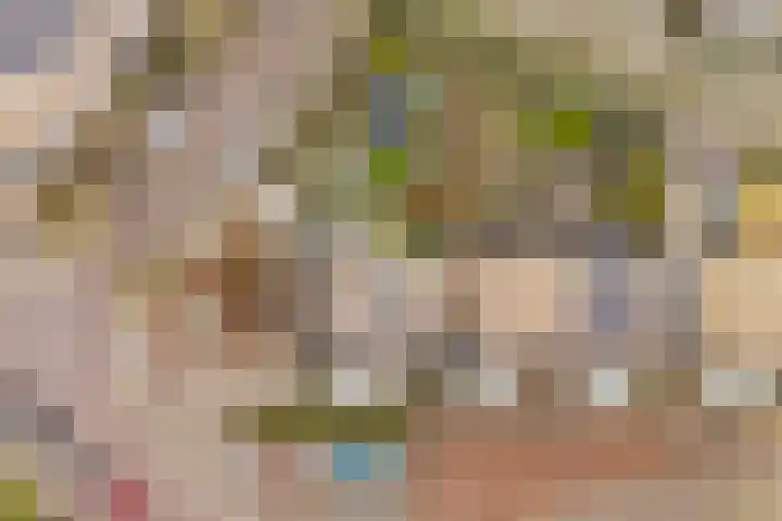 Cantharel 1 Amersfoort thumbnail 33