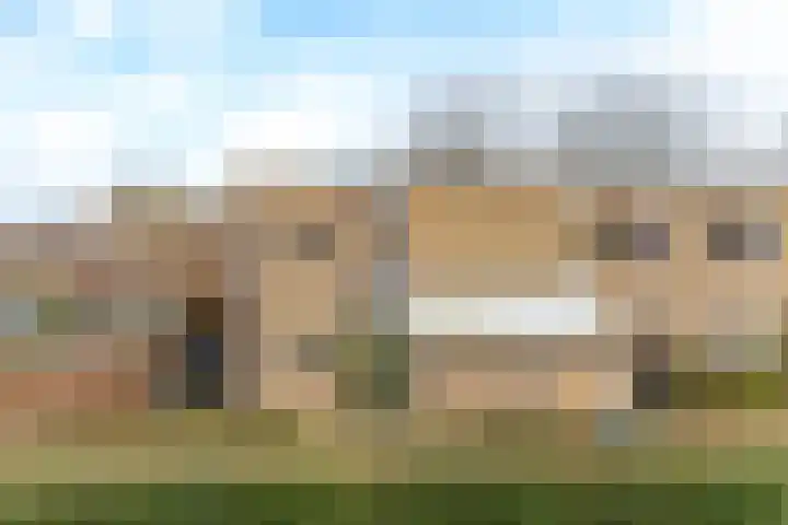 Cantharel 1 Amersfoort thumbnail 36