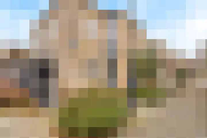 Cantharel 1 Amersfoort thumbnail 38