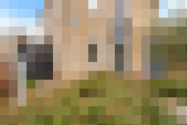 Cantharel 1 Amersfoort thumbnail 40