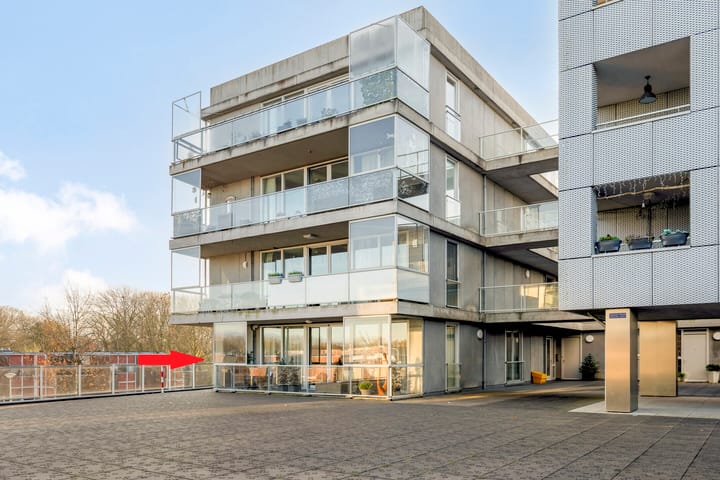 Cantharel 14 in Alphen aan den Rijn foto