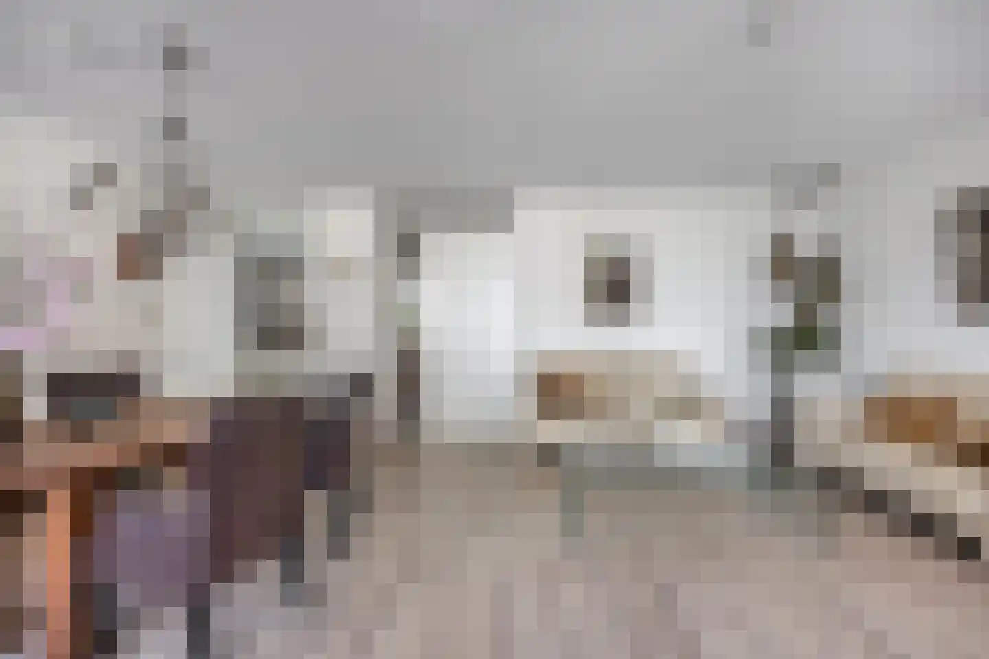 Cantharel 14 Alphen aan den Rijn thumbnail 11
