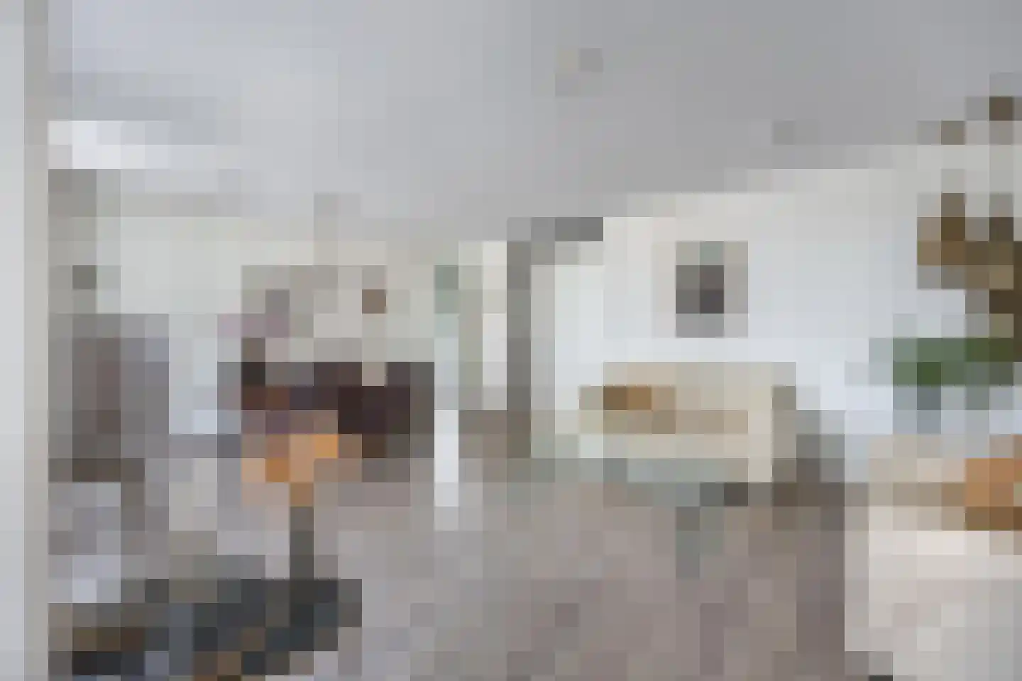 Cantharel 14 Alphen aan den Rijn thumbnail 12