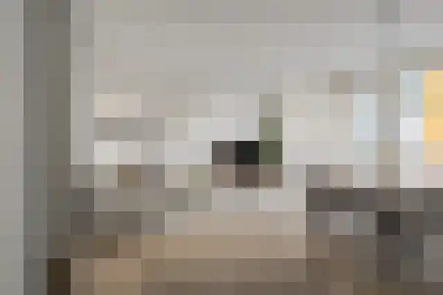 Cantharel 14 Alphen aan den Rijn thumbnail 13