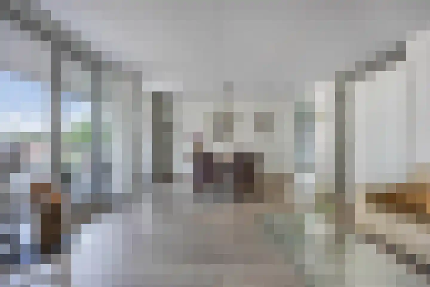 Cantharel 14 Alphen aan den Rijn thumbnail 13