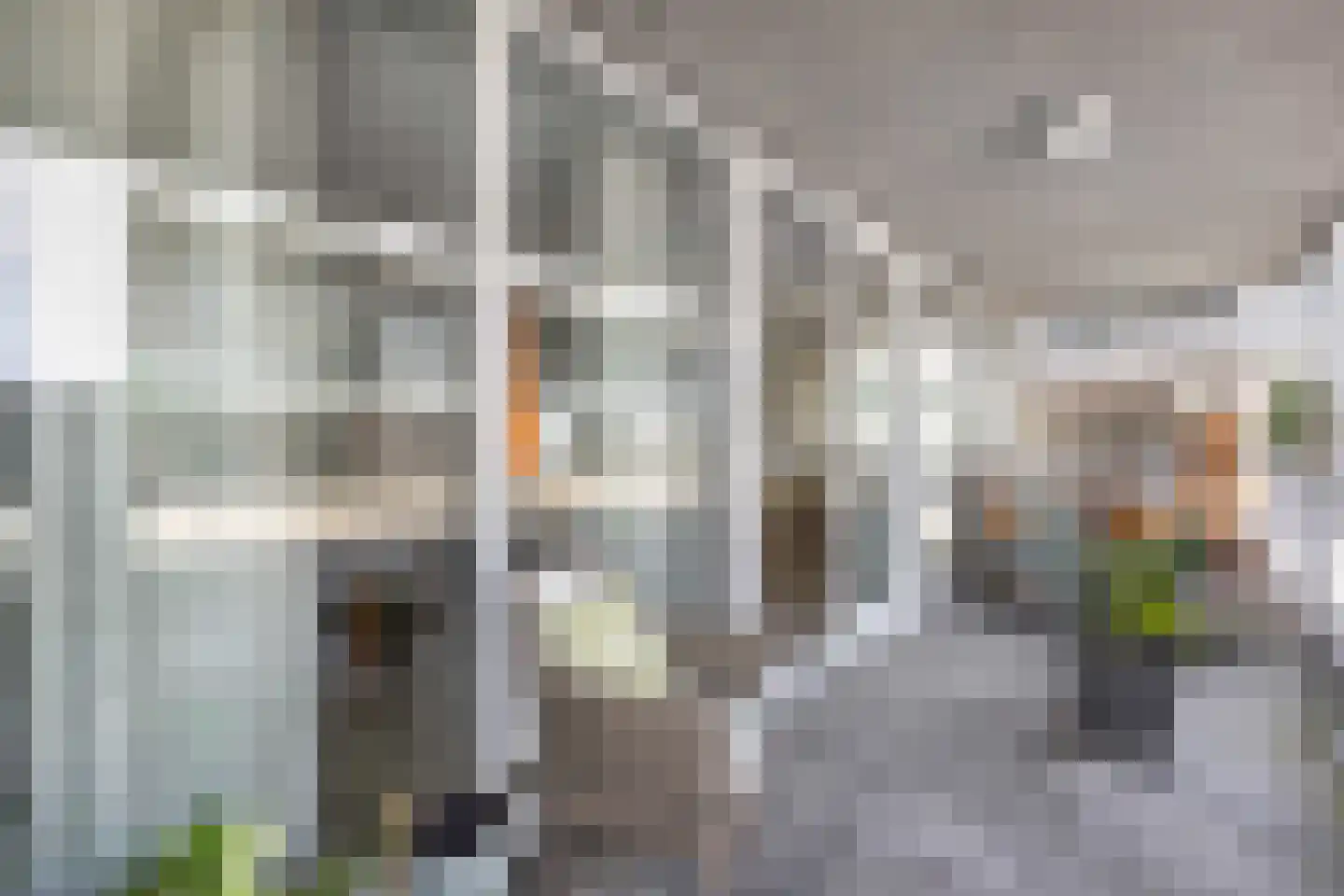 Cantharel 14 Alphen aan den Rijn thumbnail 18