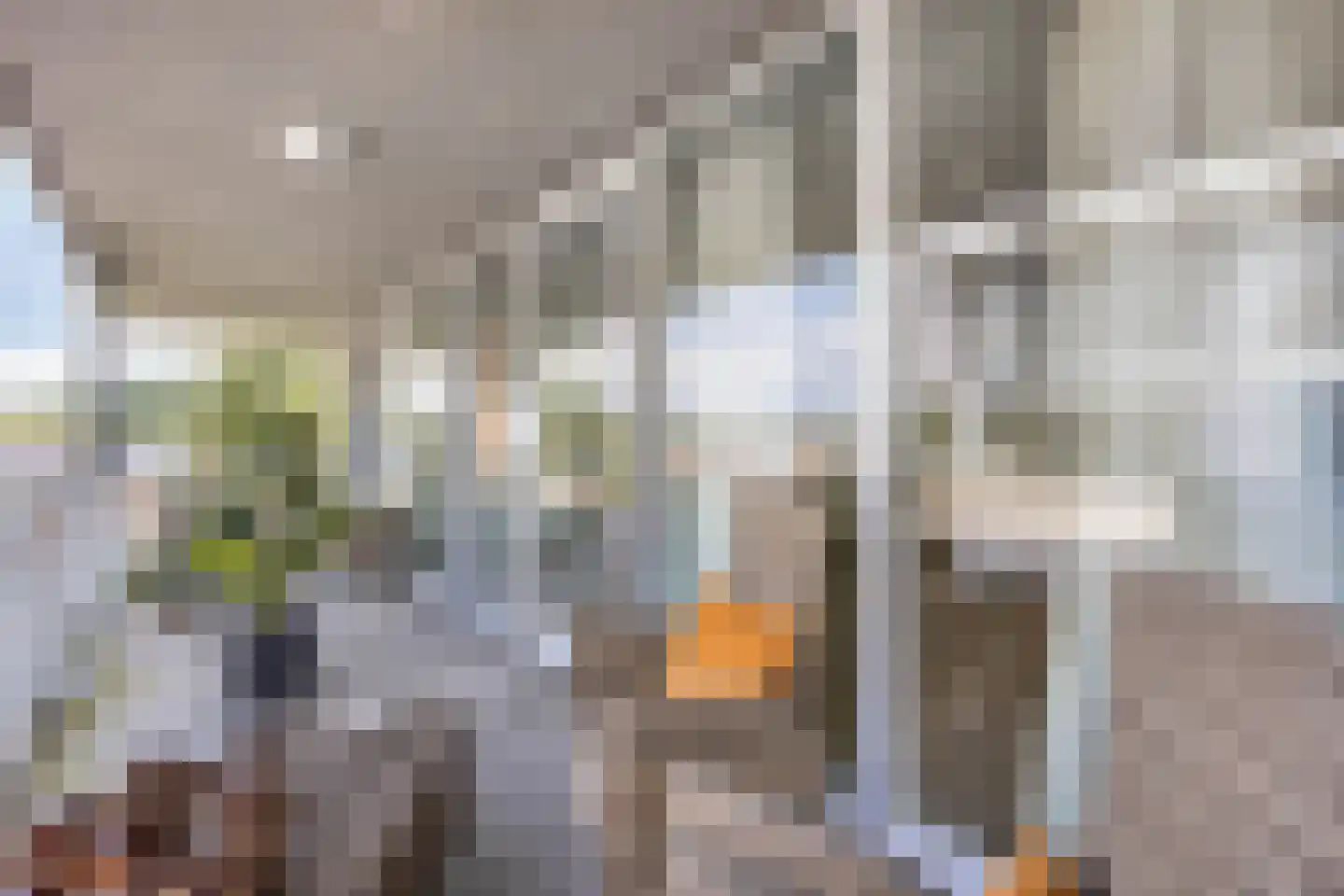 Cantharel 14 Alphen aan den Rijn thumbnail 19