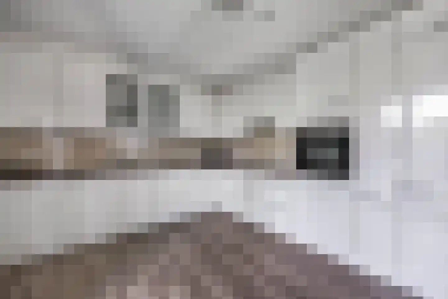 Cantharel 14 Alphen aan den Rijn thumbnail 22