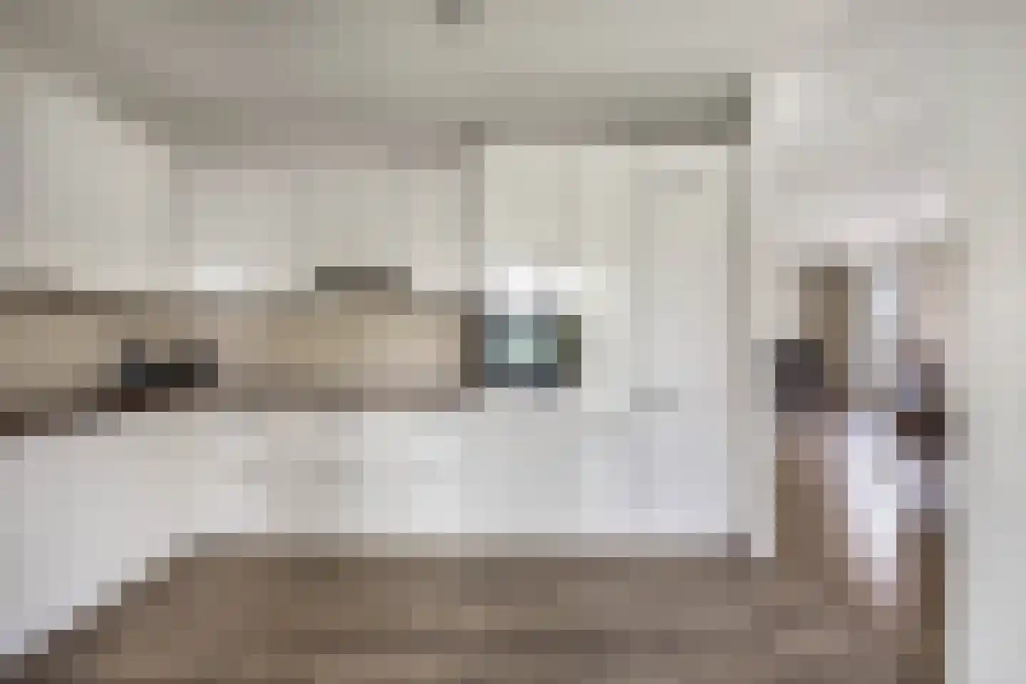 Cantharel 14 Alphen aan den Rijn thumbnail 23