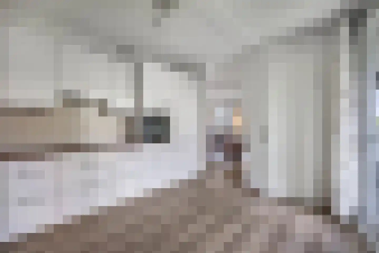 Cantharel 14 Alphen aan den Rijn thumbnail 24
