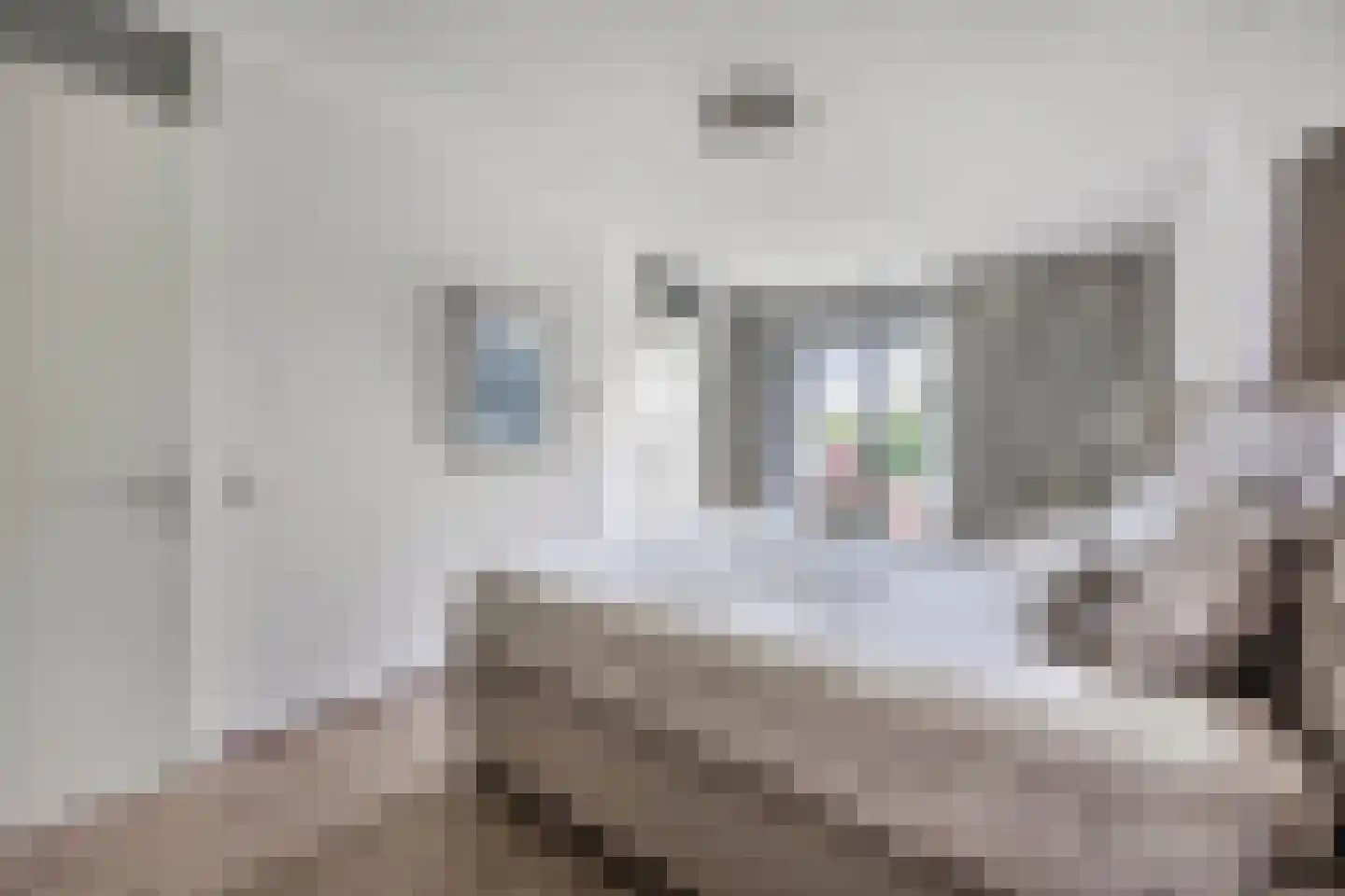 Cantharel 14 Alphen aan den Rijn thumbnail 27