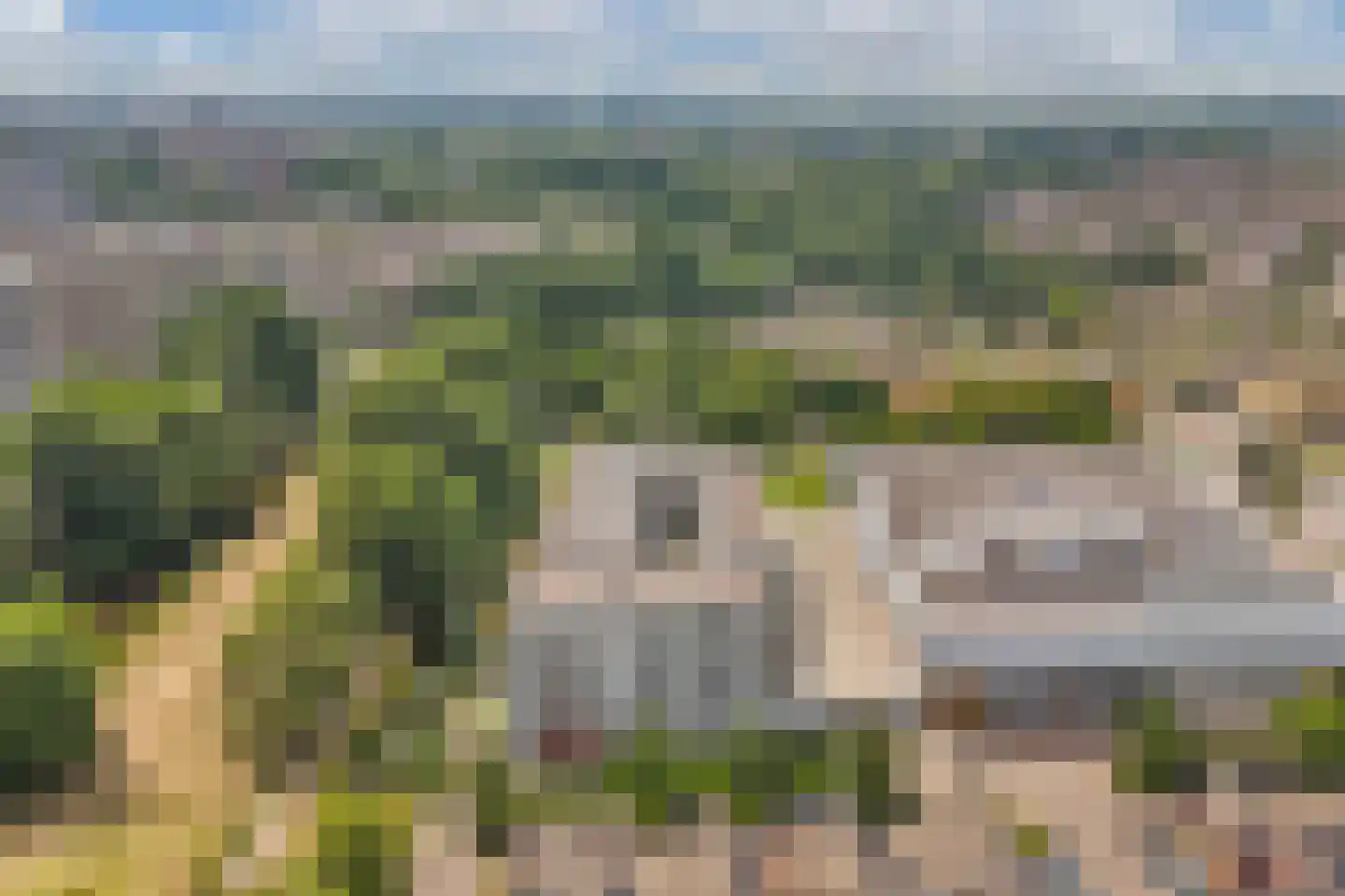 Cantharel 14 Alphen aan den Rijn thumbnail 43