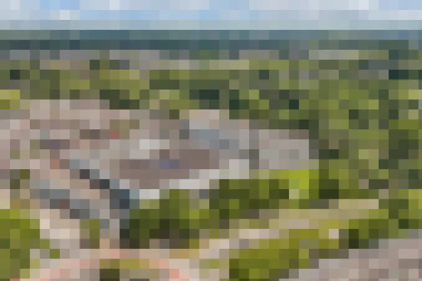 Cantharel 14 Alphen aan den Rijn thumbnail 44