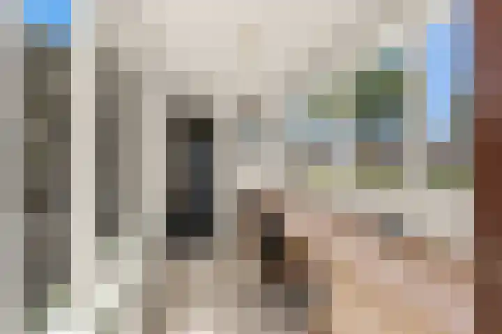 Cantharel 18 Krimpen aan den IJssel thumbnail 11