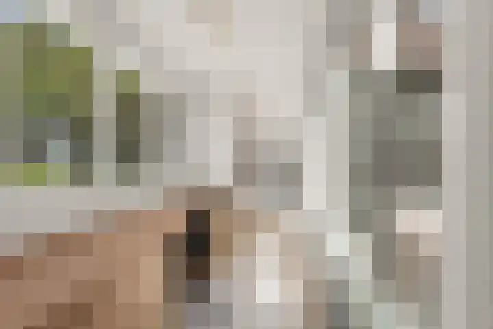 Cantharel 18 Krimpen aan den IJssel thumbnail 12