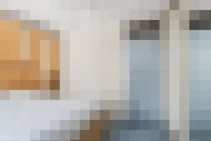 Cantharel 18 Krimpen aan den IJssel thumbnail 13