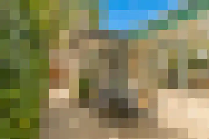 Cantharel 18 Krimpen aan den IJssel thumbnail 17