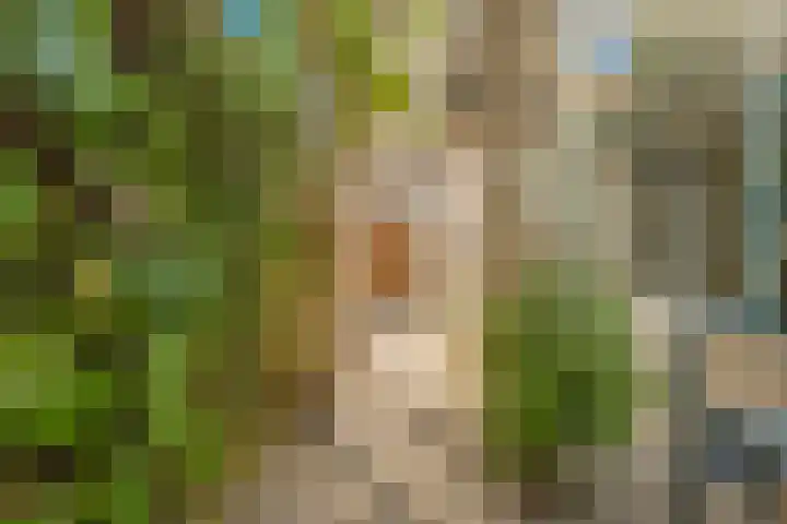 Cantharel 18 Krimpen aan den IJssel thumbnail 18