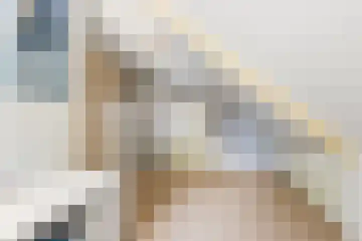 Cantharel 18 Krimpen aan den IJssel thumbnail 24