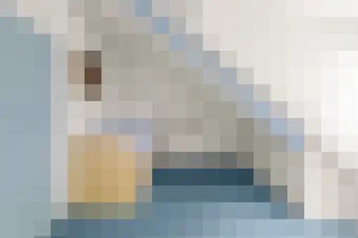 Cantharel 18 Krimpen aan den IJssel thumbnail 25