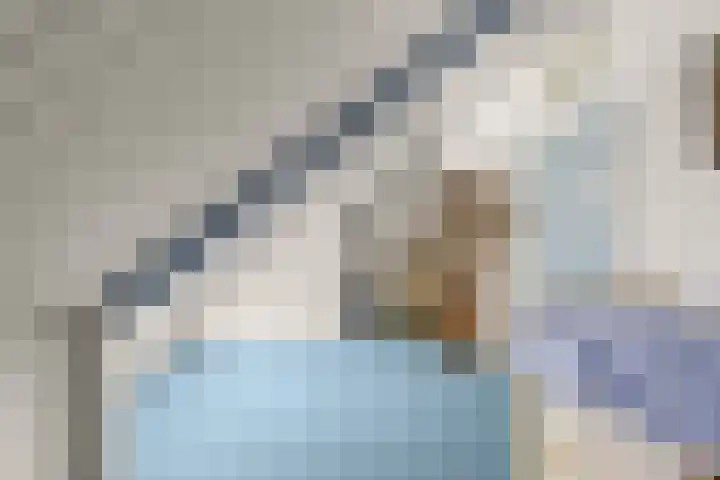 Cantharel 18 Krimpen aan den IJssel thumbnail 26