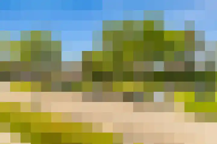Cantharel 18 Krimpen aan den IJssel thumbnail 27