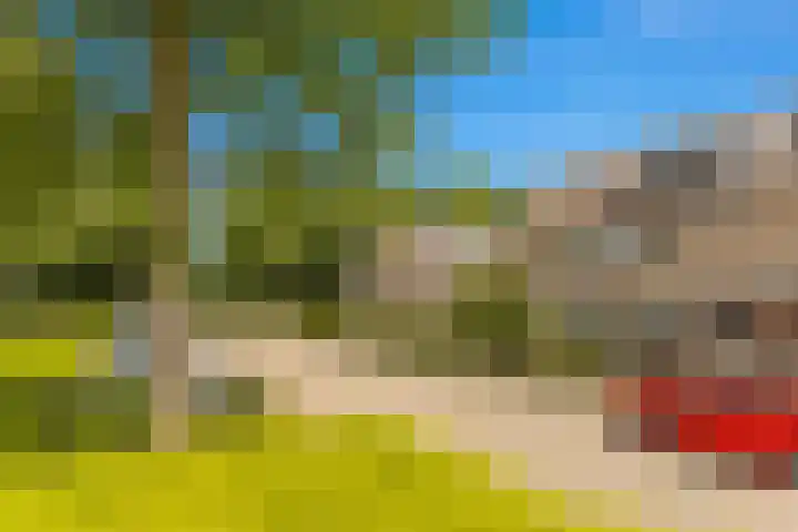 Cantharel 18 Krimpen aan den IJssel thumbnail 28
