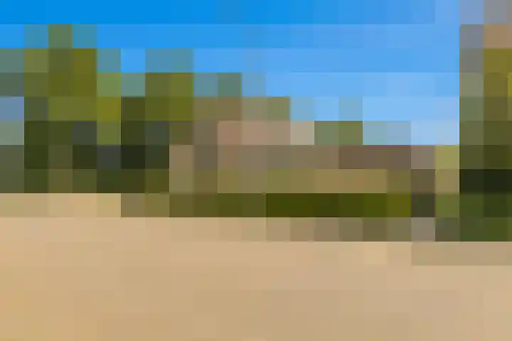 Cantharel 18 Krimpen aan den IJssel thumbnail 29