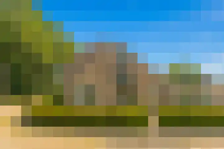 Cantharel 18 Krimpen aan den IJssel thumbnail 30