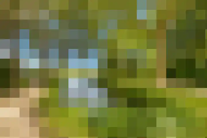 Cantharel 18 Krimpen aan den IJssel thumbnail 31